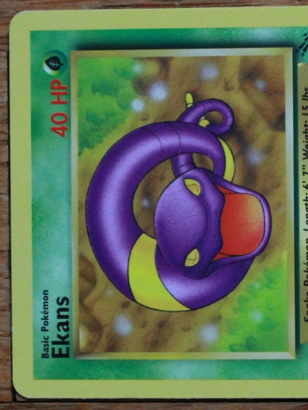 Vintage Pokemon 1999 